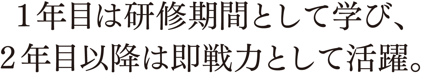 1 年目は研修期間として学び、2年目以降は即戦力として活躍。